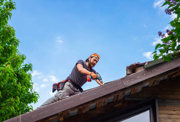 Best Commercial Roofing Services  in East Lake Orient Park, FL